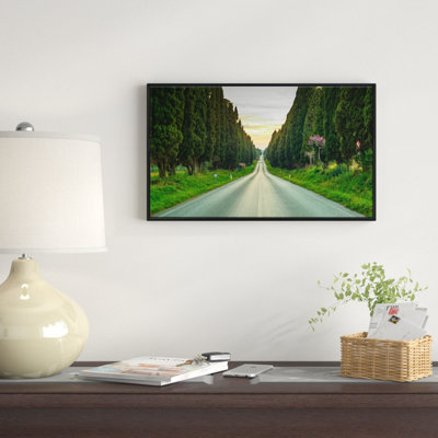 " Straight Road Through Cypress Trees "