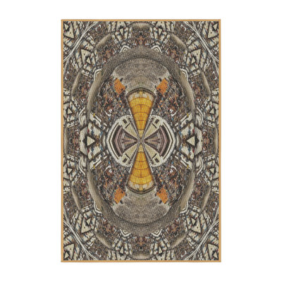 Indoor Rug
