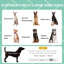 Lit pour chien surélevé Pawhut-106794193-106794207