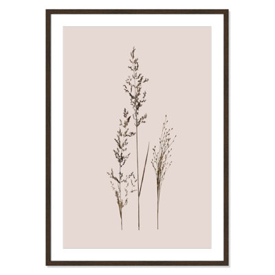 Delicate Stems I by Carol Robinson - Single Picture Frame Print -  Birch Lane™, D75837006C354312BB90466446E44345