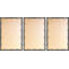«Palm Leaf Canopy» par Marmont Hill - Ensemble de 3 reproductions de cadres photo simples-87149444
