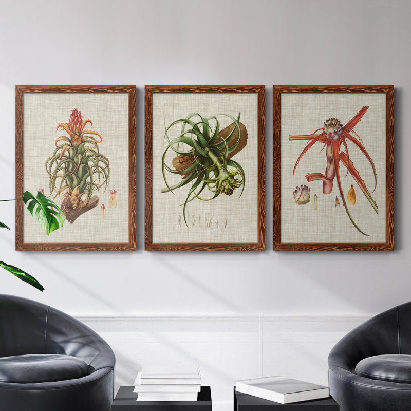 Elegant Tropicals IV - Ensemble de 3 peintures sur toile encadrées, Érable, H 31,5 po x l 47 po x P 1,5 po