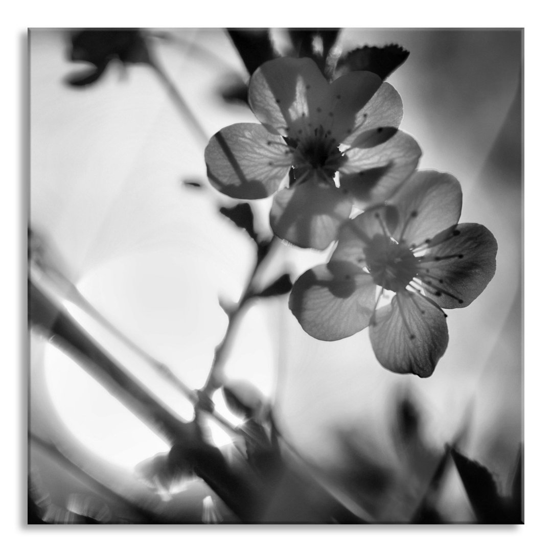 Glasbild Blumen am Baum