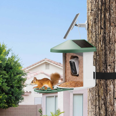 Mangeoire pour oiseaux avec caméra, Ai Bird Identification, énergie solaire, vidéo HD 2K, vert