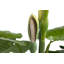 120cm Faux Banana Leaf Plant in Pot