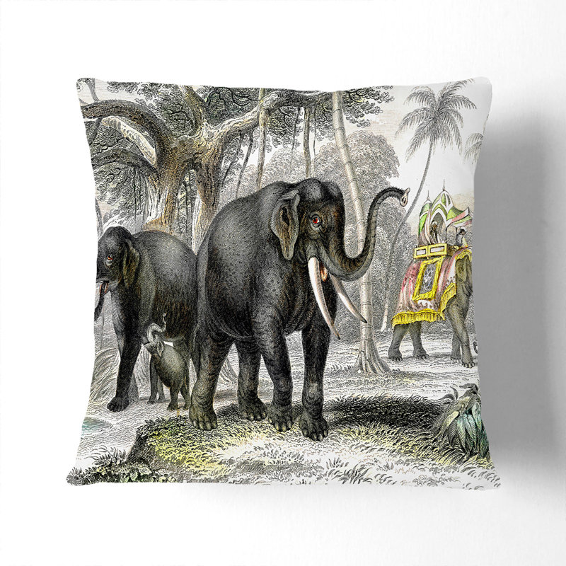 Square Cushion, 55cm H x 55cm W x 20cm D