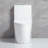 Small Compact One Piece Toilet Dual Flush