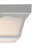 Hodei Acrylic LED Flush Mount