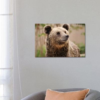 Bears III by Goran Anastasovski - Wrapped Canvas Print