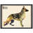 " German Shepherd " by Alex Zeng
