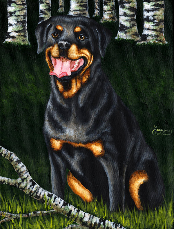 Drapeau de jardin 2 côtés rottweiler companion companion companion, H 15 po x l 11 po
