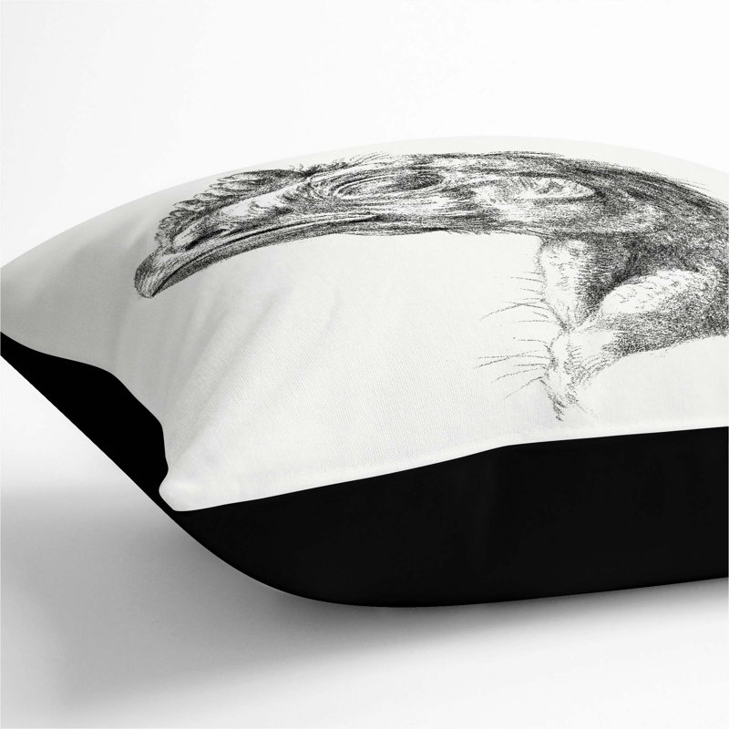 Square Throw Cushion, Black, 55cm H x 55cm W x 20cm D