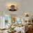 19.6'' Ceiling Fan with Light Kit