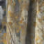Birch Tree Forest Wonderland V - Rideau occultant nature - 1 panneau-107824572