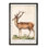 CERVUS