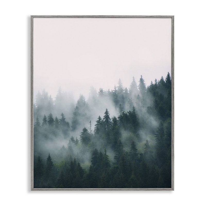 Misty Forest Trees Gray Framed Canvas Print, 16 x 20