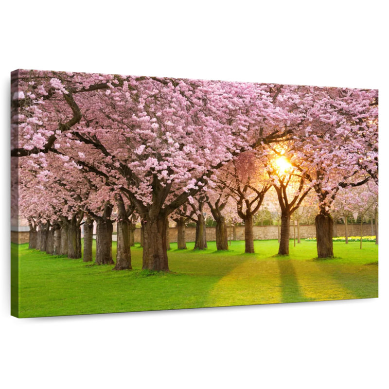 Harnek Spring Sakura Lane, H 30 po x l 45 po