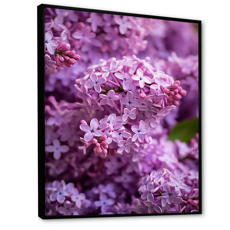 «Lilac mauve», reproduction sur toile, Cadre flottant noir, 32" H x 16" W