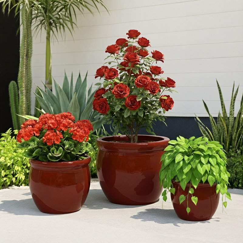 Ensemble de 3 pots à fleurs d'intérieur / extérieur en céramique avec trou de drainage, Rouge