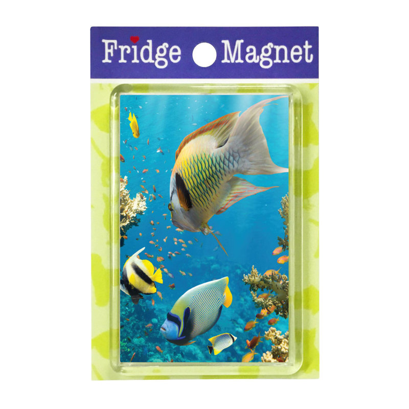 Fridge Magnet