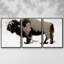 Bison II monochrome 3 pièces-1976793420-1976793421