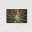 «Succulent VI» par Dennis Frates-830196071