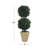 Evercrest 16" Handcrafted Real Preserved Cypress Double Ball Topiary