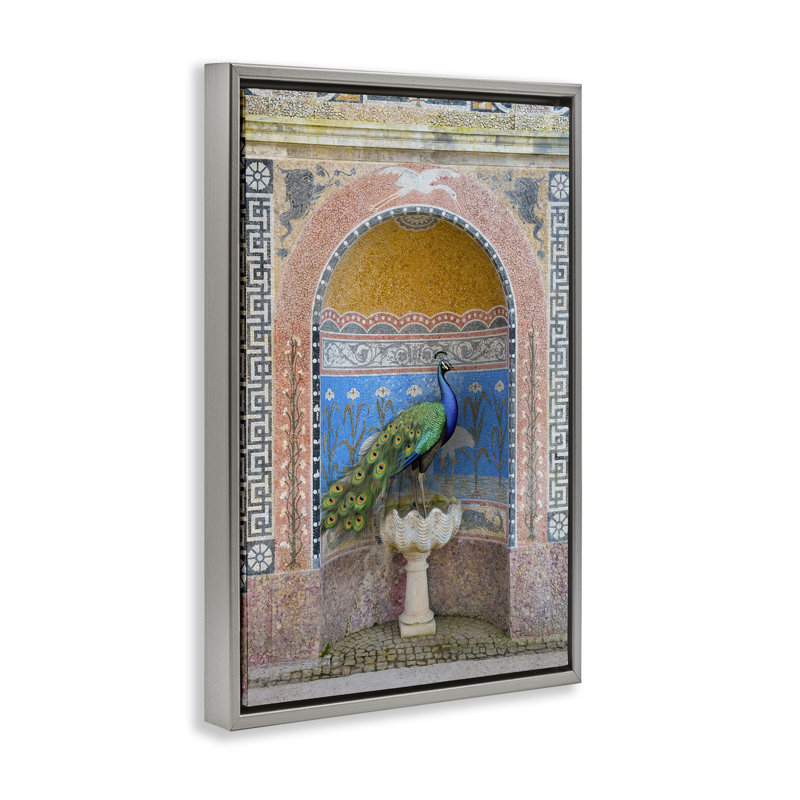Paon avec une architecture traditionnelle, toile par Danita Delimont, Cadre flottant gris lustré, H 25 po x l 17 po