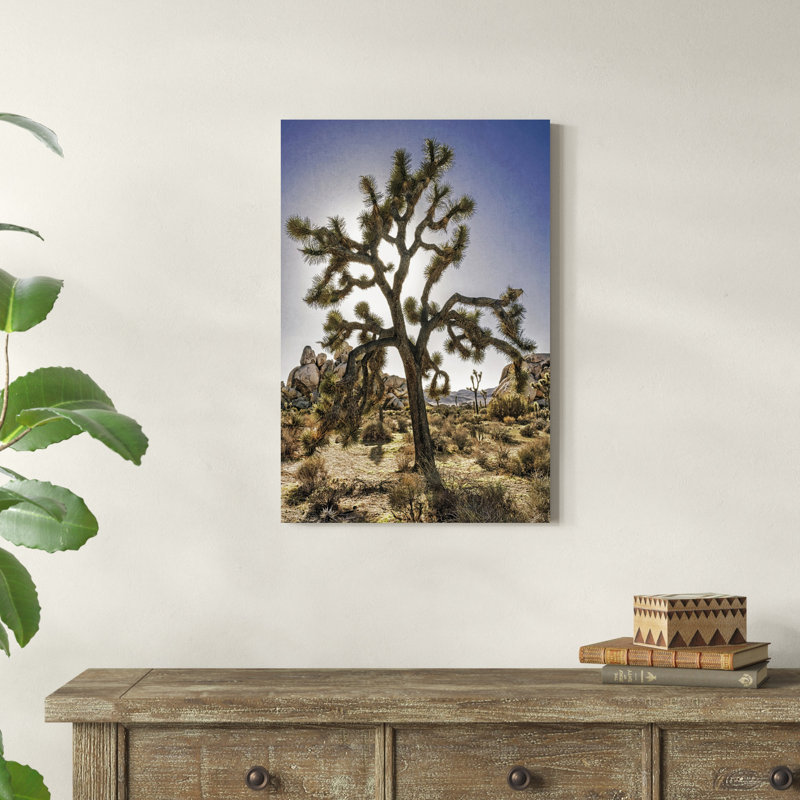 " Views Of Joshua Tree I " by Rachel Perry, 30" H x 20" W x 1.25" D