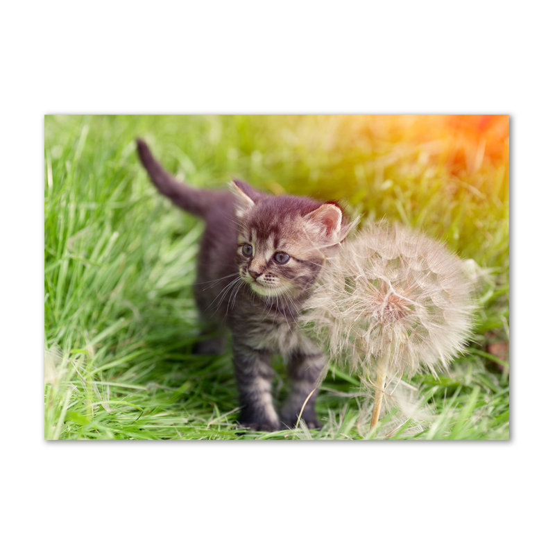Kitten with a blowpipe 1 Piece Wrapped Canvas Wall Art