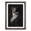 Owl - Framed Print-56856987-56856990