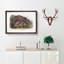 Grizzly Bears by J.W. Audubon - Picture Frame Painting Print-55608845-55608848