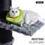 Arbre à chat moderne et robuste pour grand chat, H 57,5 po