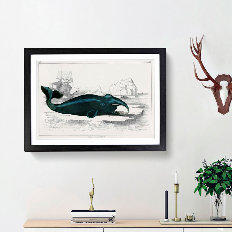 Beached Whale by Oliver Goldsmith - Single Picture Frame Painting, 45cm H x 63cm W x 2cm D, Black Framed