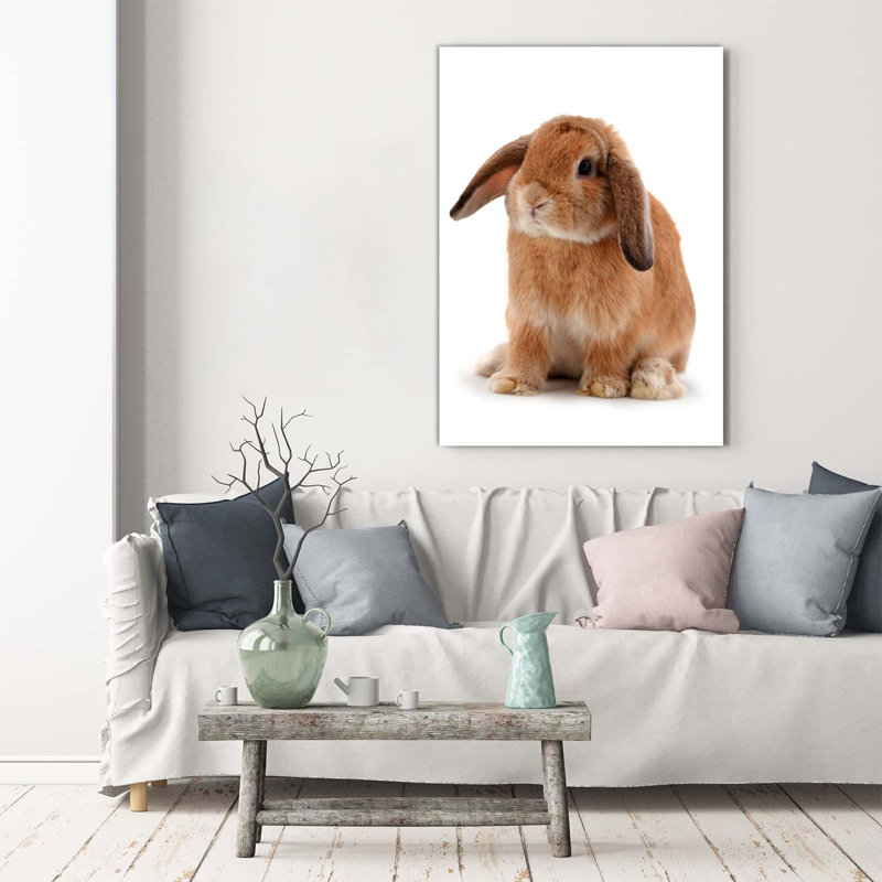 Rabbit - Wrapped Canvas Print