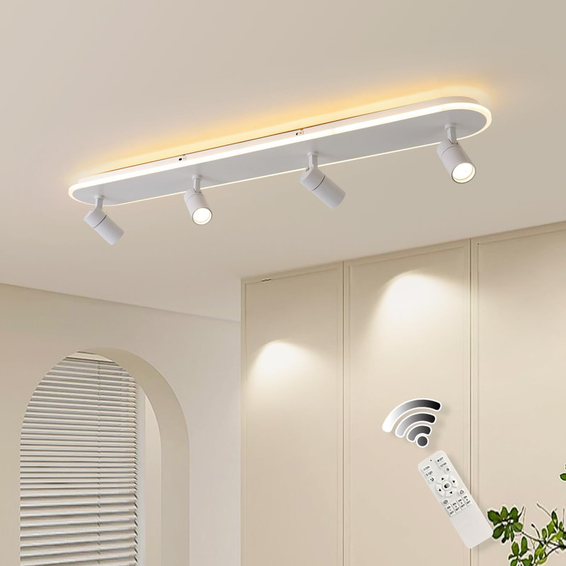 White LED Adjustable Fixed Track Head, White