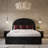 Loya Velvet Queen Bed-101319078-101319079