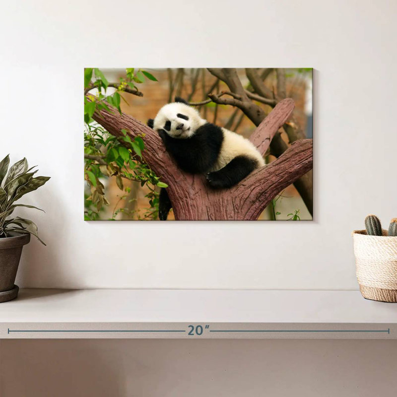 Panda endormi Brampt, H 8 po x l 12 po
