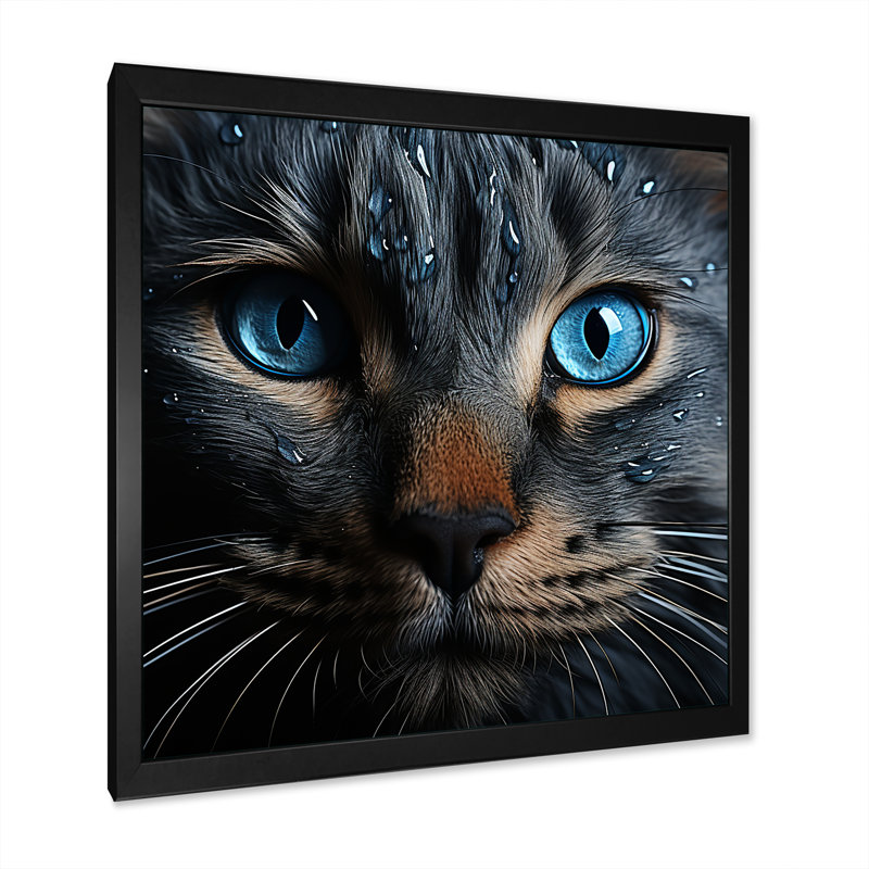 Chat, yeux bleus, chat, H 24 po x l 24 po x P 1 po, Cadre simple noir