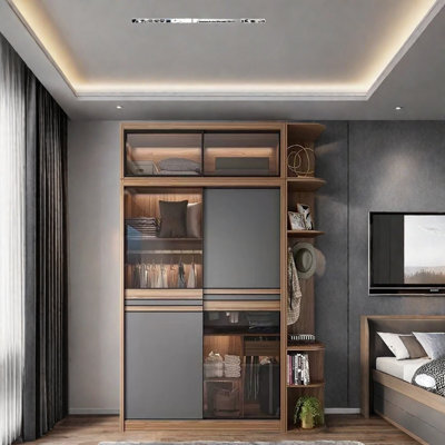 Garde-robe moderne simple en verre