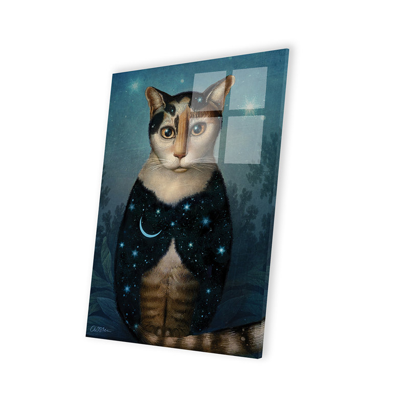 «Midnight Cat On Plastique / Acrylique» par Catrin Welz-Stein