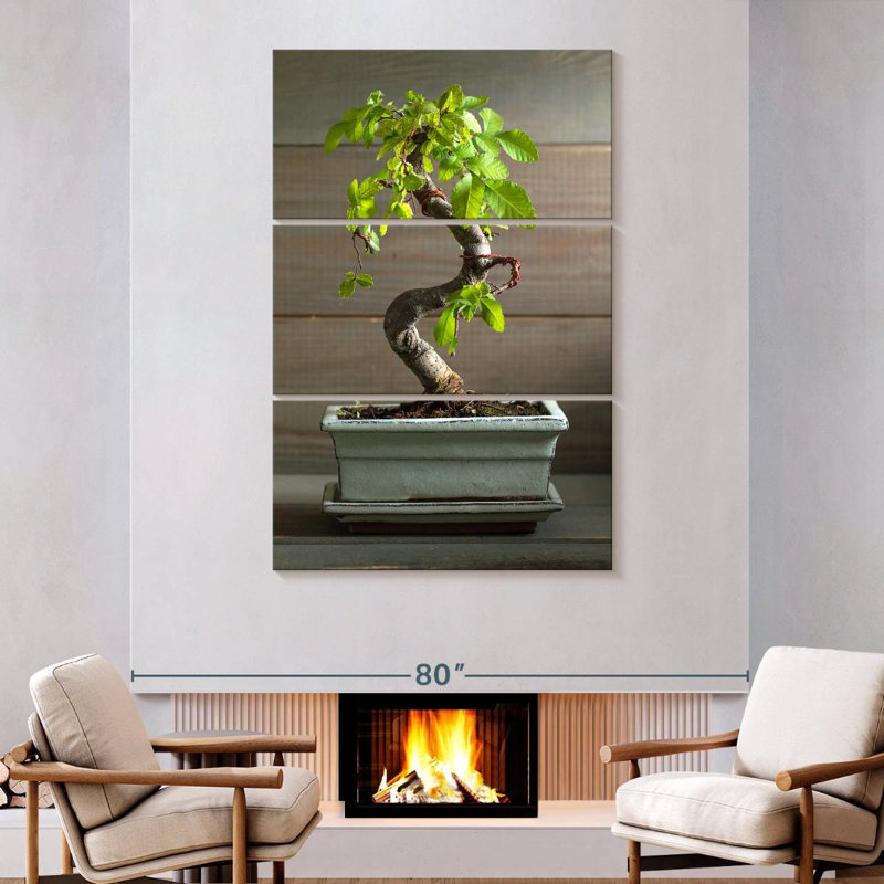 Bonsai Harnek dans un pot, H 74 po x l 48 po