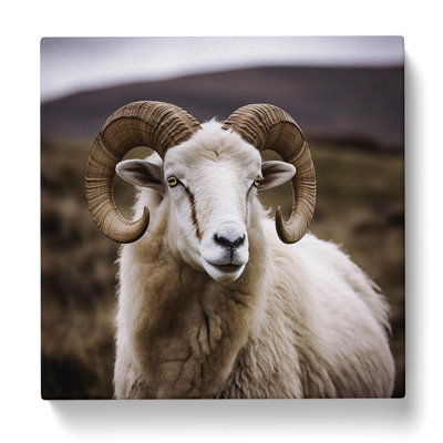 Modern Wall Art - Wrapped Canvas - Framed Print