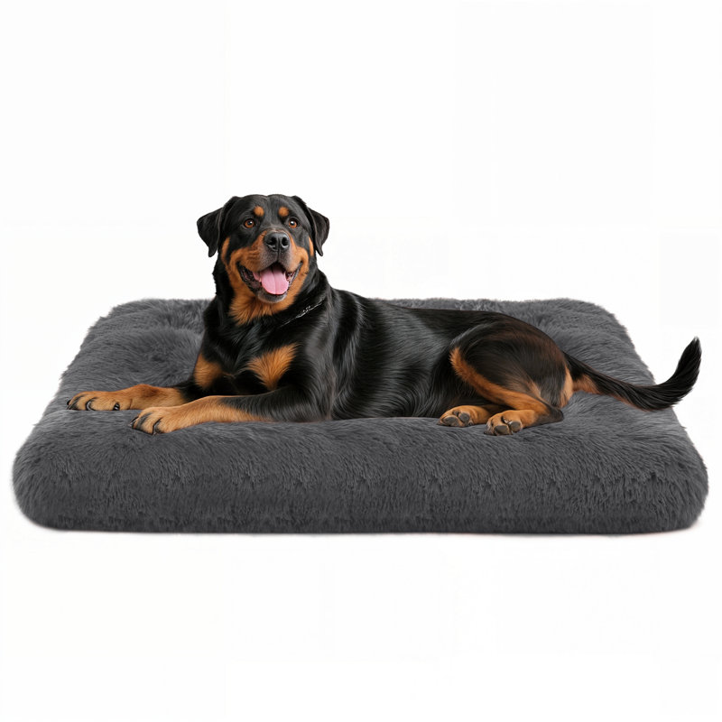 Coussin de siège pour animal de compagnie, Beige, Grand (H 5 po x l 39 po x P 29 po)