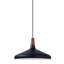 Drew Single Light Metal Dimmable Pendant-1223221451-1223221446