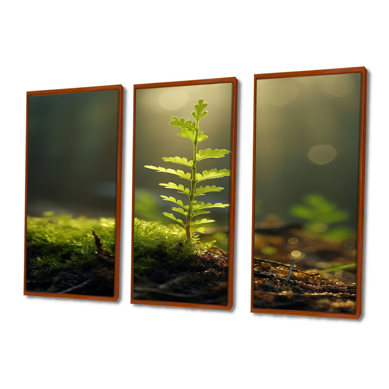 Cass - ensemble d'art mural feuilles, Cadre flottant brun, H 32 po x l 48 po x P 1 po