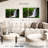 Alvord Lush Green Waterfall-107936353