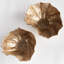 Ostra Decorative Bowls-849457862