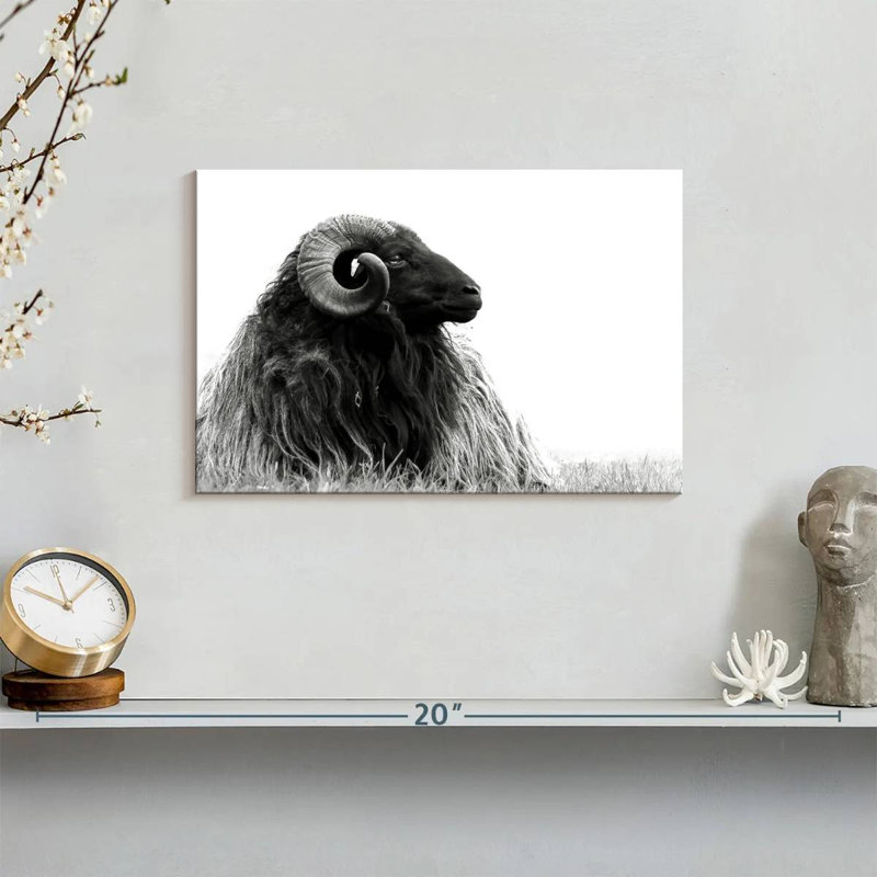 Brampt Bighorn Ram, 8" H x 12" W
