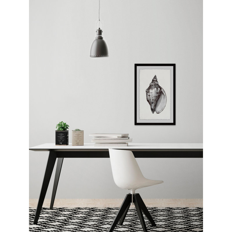 «Elegant Look Shell» par Alexandros, reproduction encadrée, H 24 po x l 16 po x P 1,5 po
